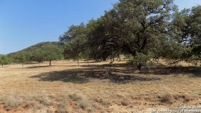 LOT 4 Hills Of Bandera Road - Photo 1