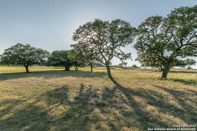LOT 2 Majestic Hills Ranch - Photo 1