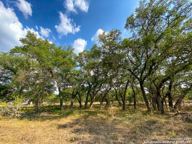 109 Calvary Dr - Photo 1