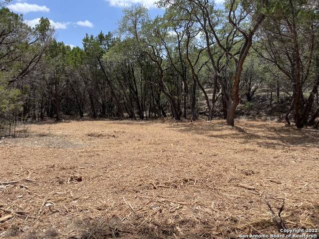 1580 Moerike Rd - Photo 1