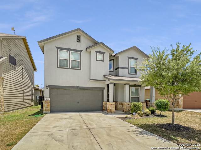 2550 Gato Del Sol - Photo 1
