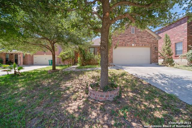 6516 Ashby Pt - Photo 1