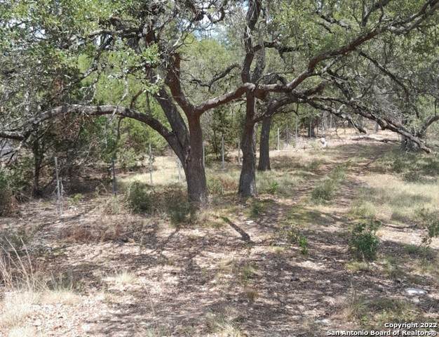 277 Kellog - Photo 1