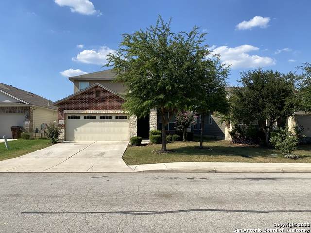 9014 Herman Hollow - Photo 1