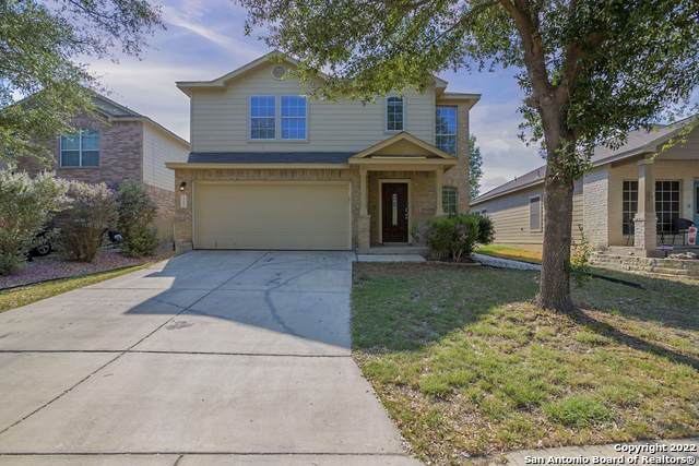 11115 Verbena Path - Photo 1