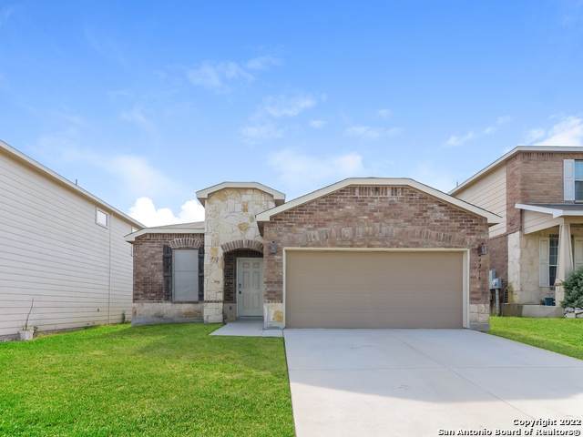 24215 Hazel Alder - Photo 1