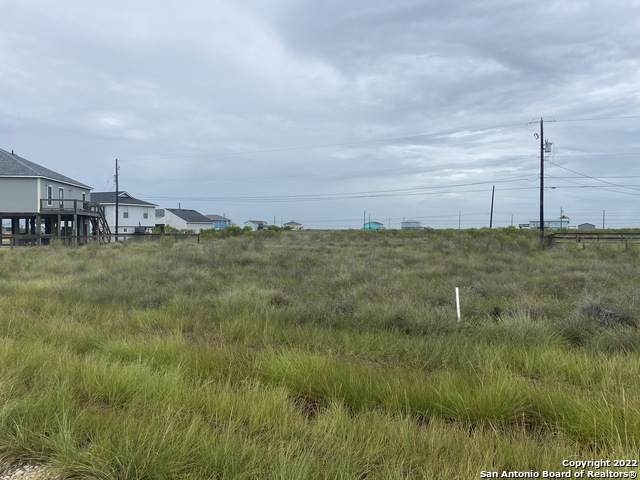 363 Misty Oak Ln - Photo 1
