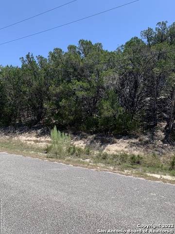 320 Mustang Ln - Photo 1