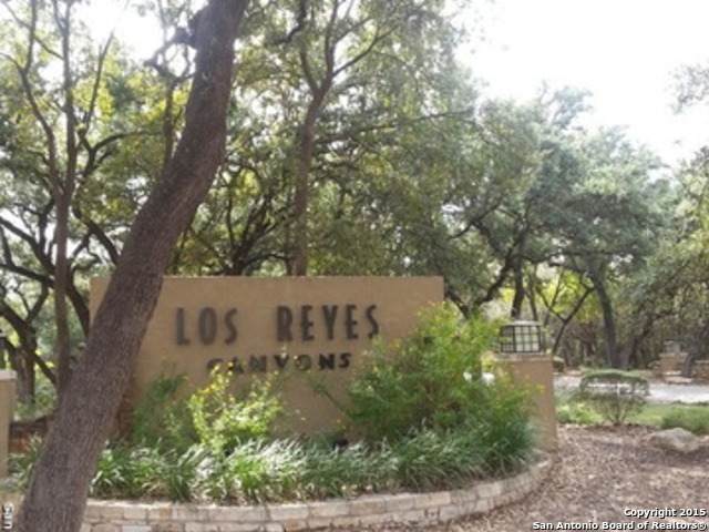 11006 Reyes Canyons - Photo 1