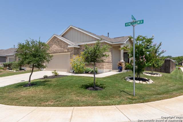 5251 Honeyflower - Photo 1