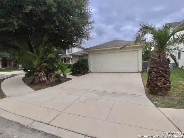 14230 Bobolink Cove - Photo 1