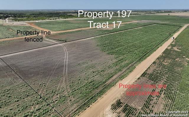TRACT 17 Cr 136 - Photo 1