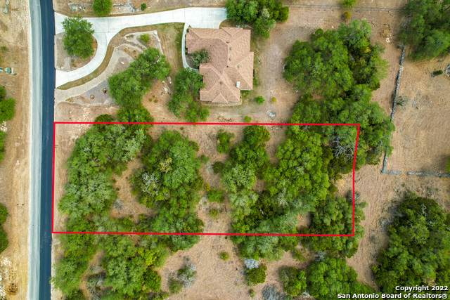 913 Shady Hollow - Photo 1