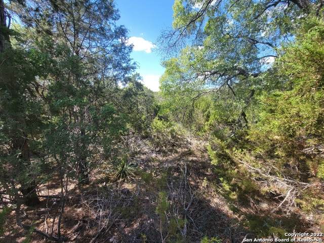 LOTS 1-24 32ND ST - Photo 1