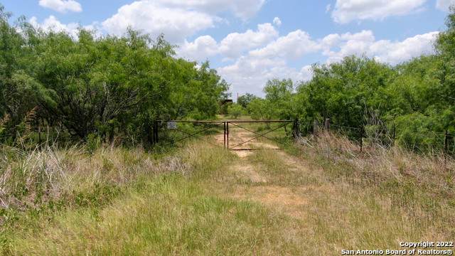 0 County Road 117 - Photo 1