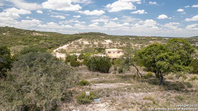 11307 Steihler Hill - Photo 1
