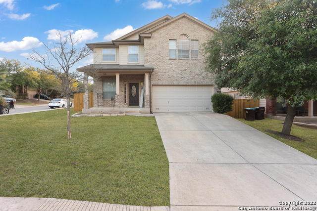835 Celosia - Photo 1