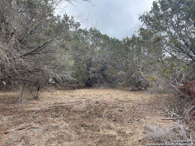 7 Squirrel Bend - Photo 1