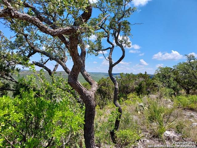 LOT 211 Pr 1717 - Photo 1