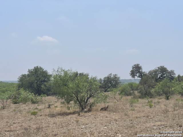 TBD Waddell Lane - Photo 1