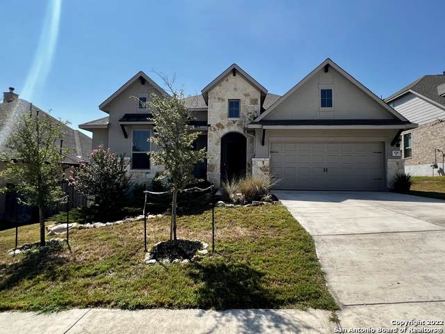 1710 Tree Fern - Photo 1
