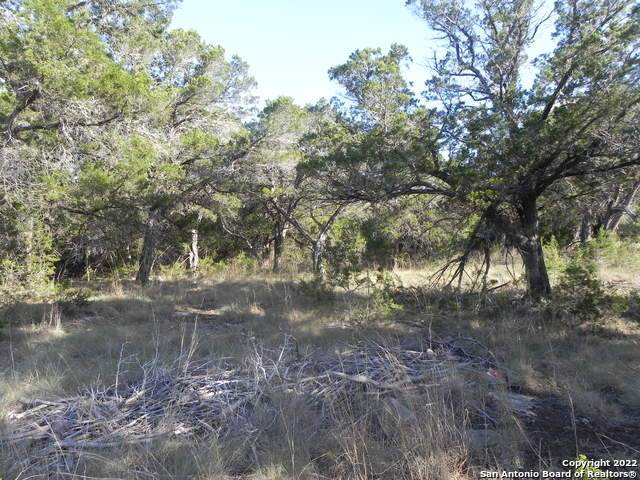 2200 Fuller Dr - Photo 1