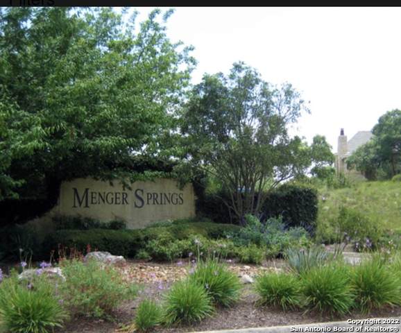 513 Menger Springs - Photo 1