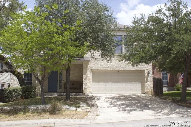 10515 Cenizo Field - Photo 1