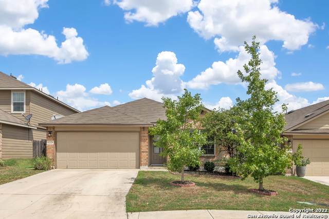 11329 Eagle Tree - Photo 1