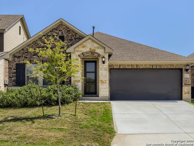 10250 Nate Range - Photo 1