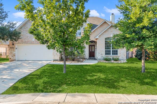9220 Holly Star - Photo 1