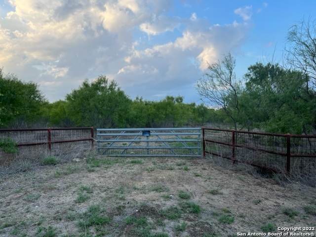 707 Deer Trail - Photo 1