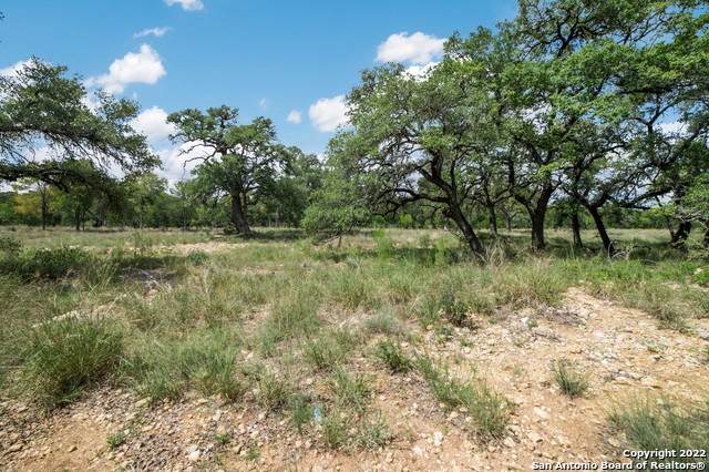 7064 Circle Oak Dr - Photo 1