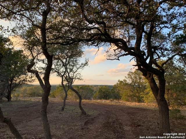 997 Malbec Loop - Photo 1