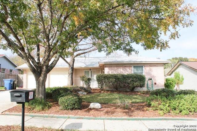 1019 Morey Peak Dr - Photo 1
