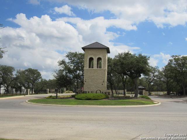 977 Scarlett Ridge - Photo 1