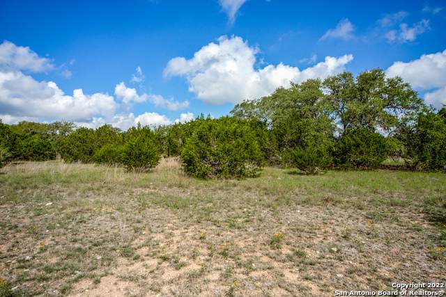 102 Lonesome Dove - Photo 1