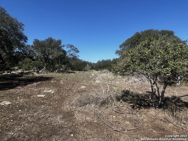 263 Paradise Hills - Photo 1