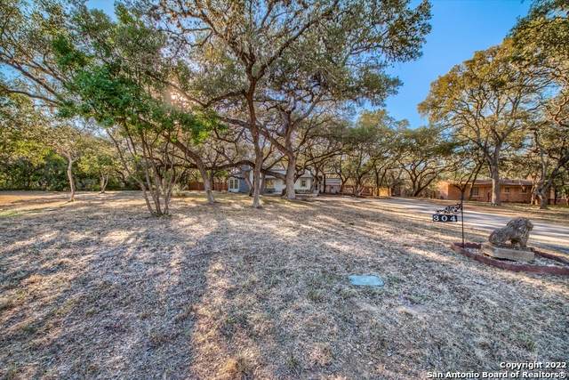 304 Zornia Dr - Photo 1