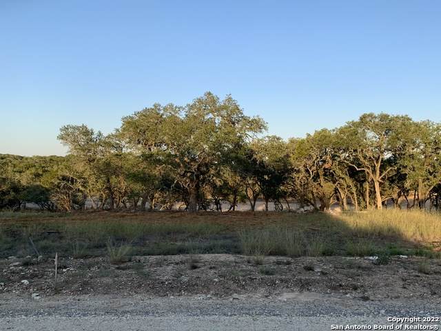319 Serenity Pass - Photo 1