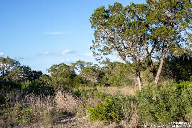 65 County Road 2733 - Photo 1