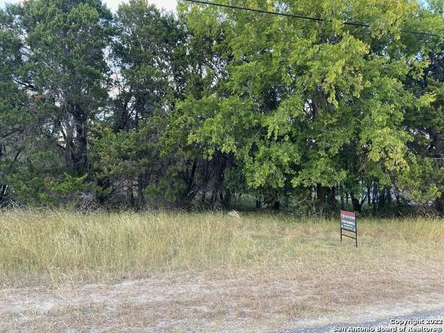 0 Rebecca Creek Rd. - Photo 1