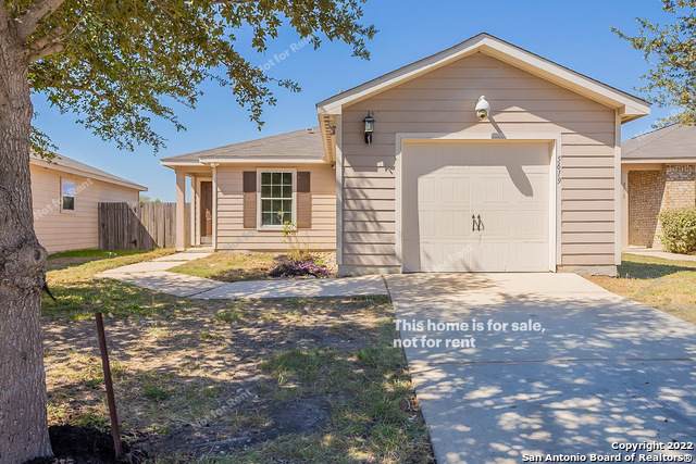 5619 Forest Cyn - Photo 1