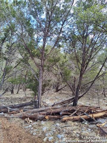 479 Clay Ridge - Photo 1