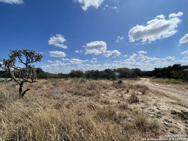 318 Palm - Photo 1