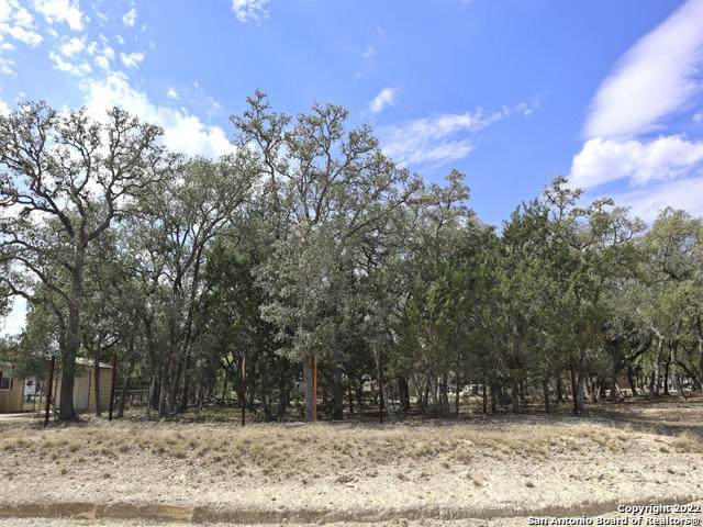 LOT 46 Pr 1508 - Photo 1