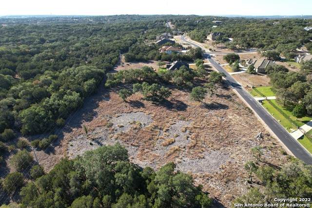 24810 Creek Loop - Photo 1