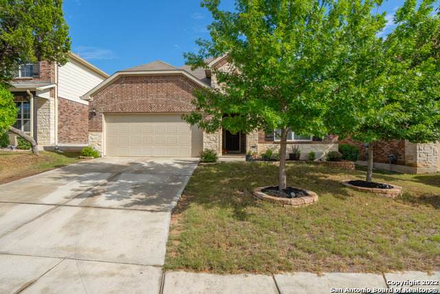 10918 Yaupon Holly - Photo 1
