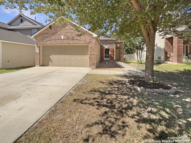 443 Tequila Ranch - Photo 1