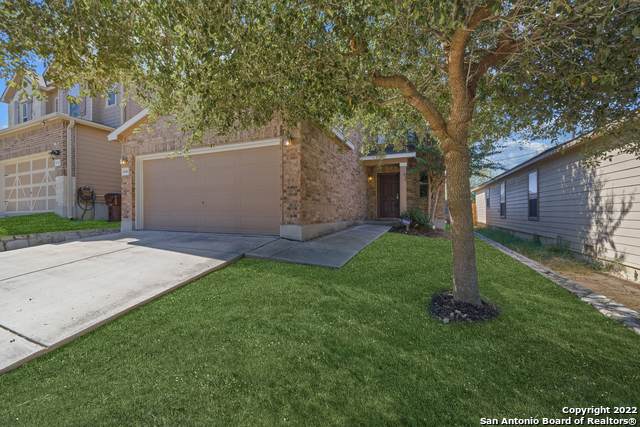 9740 Hawk Elm - Photo 1